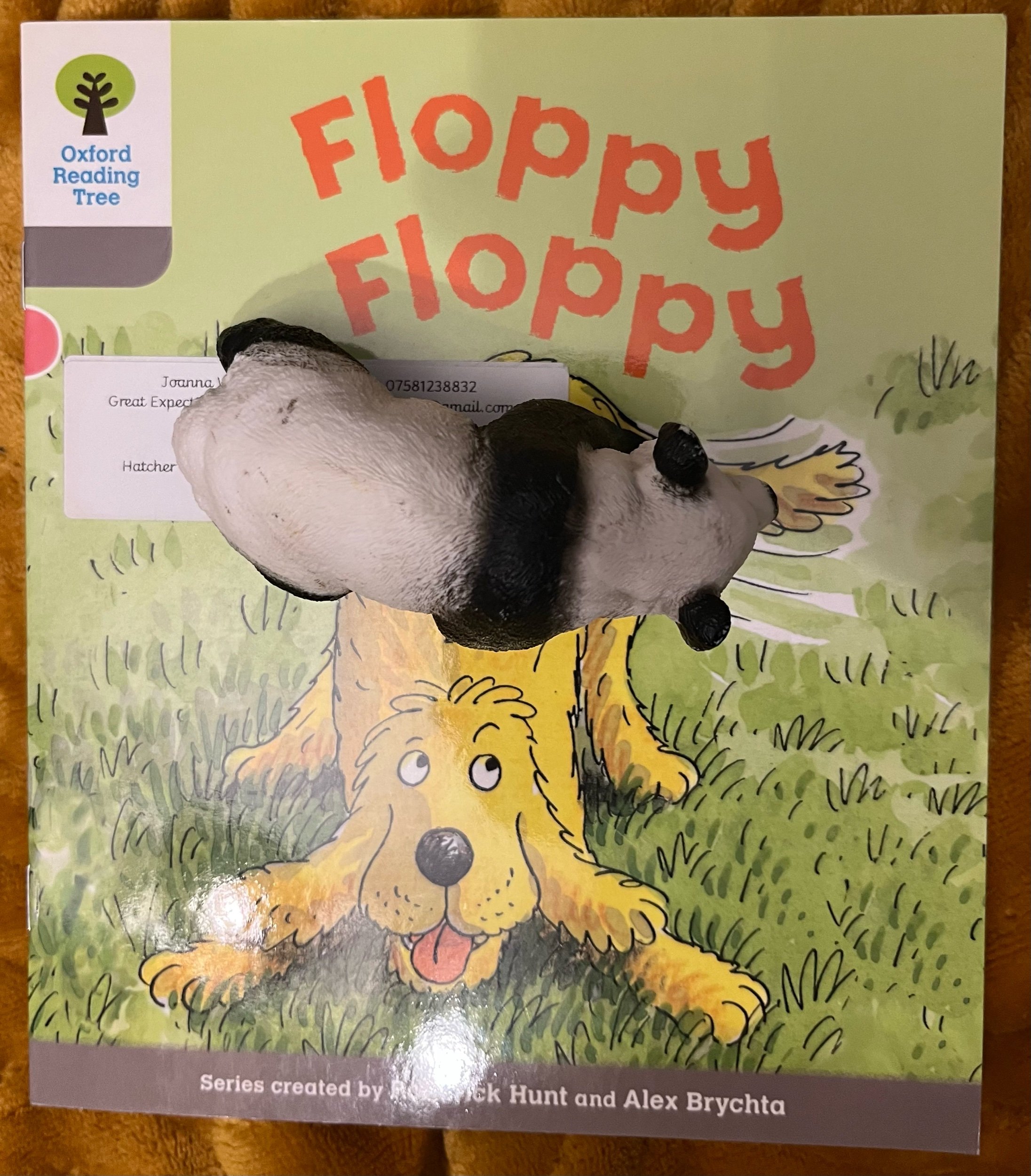 ‘Floppy Floppy’ (Biff, Chip and Kipper) Level -1