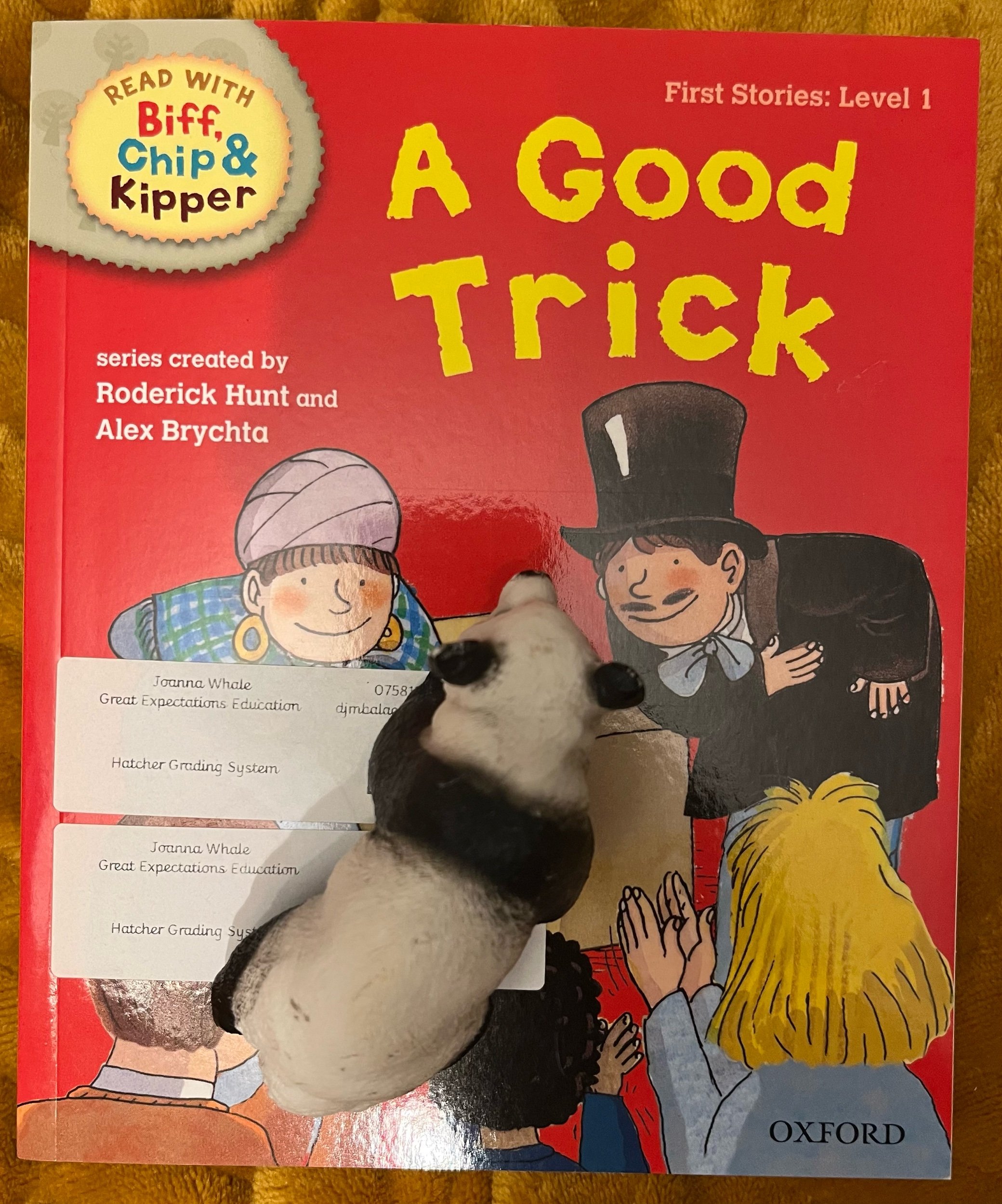 ‘A Good Trick’ (Biff, Chip and Kipper) (Level 0)