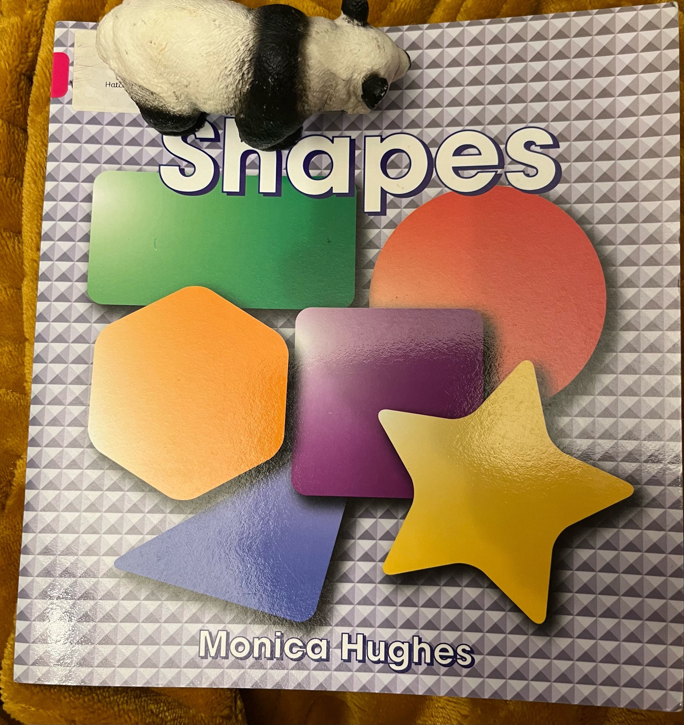 ‘Shapes’ by Monica Hughes (Level 0)