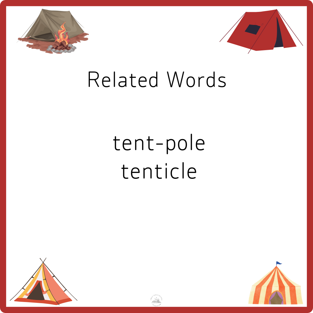 12.png
