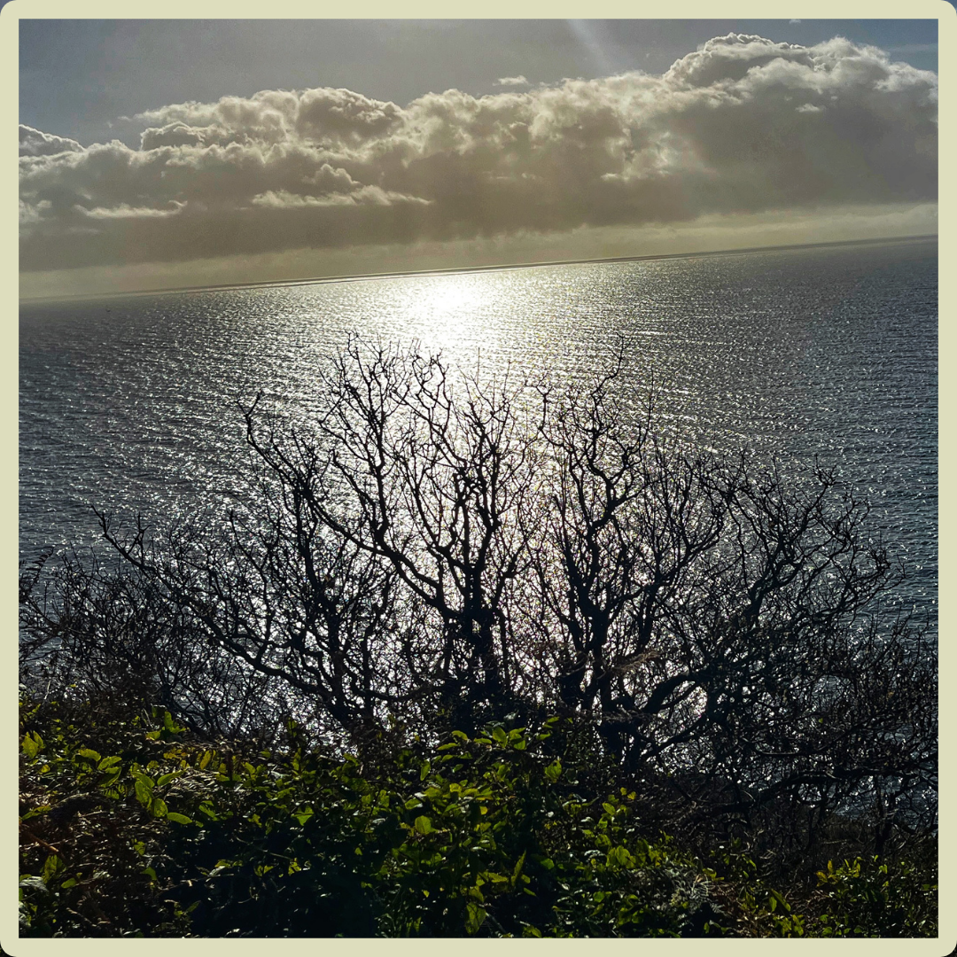 Blessed – light on the water at Lantic Bay