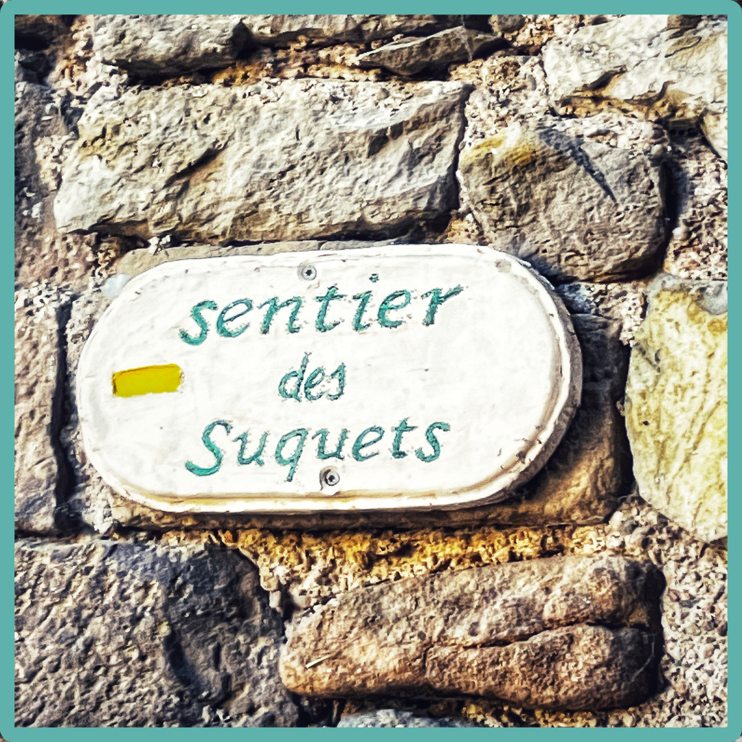 Sentier: a path made by going