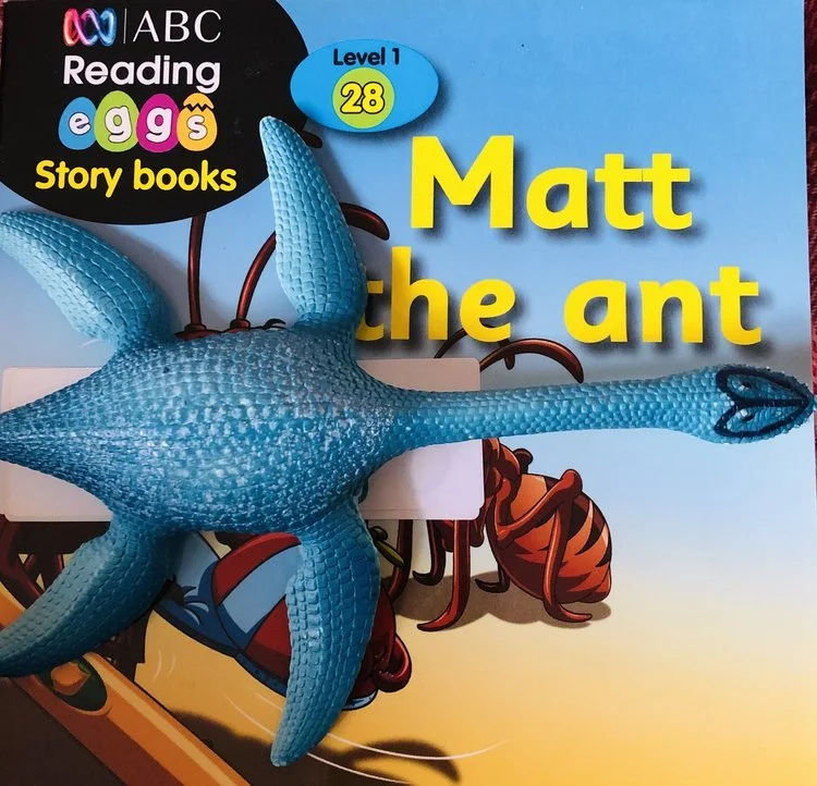 Graded Reading - Level 0 - Matt the Ant
