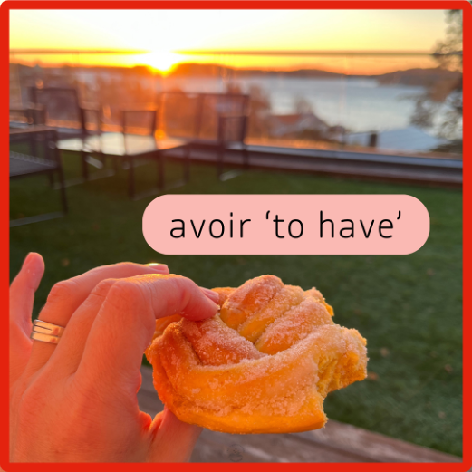 avoir (French) – Structured Vocabulary Support
