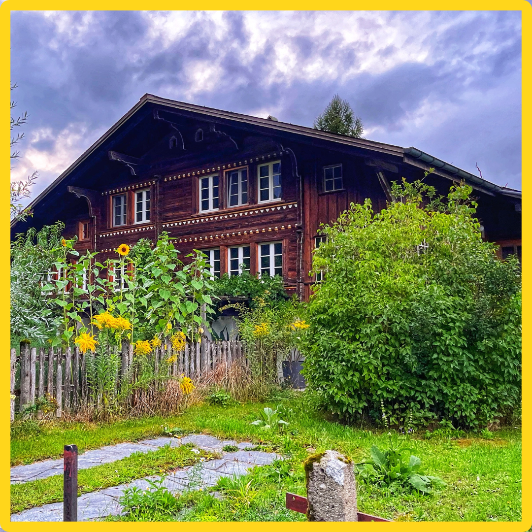 German Core Vocabulary: Describing Yourself, Family and Animals