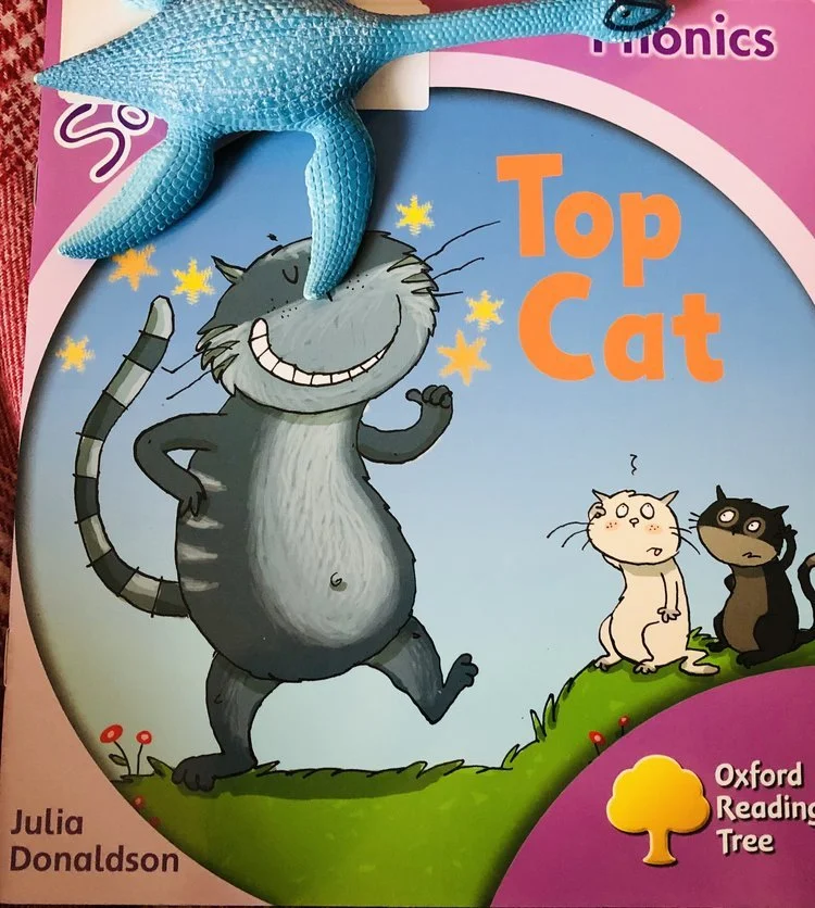 Graded Reading - Level 0 - Top Cat