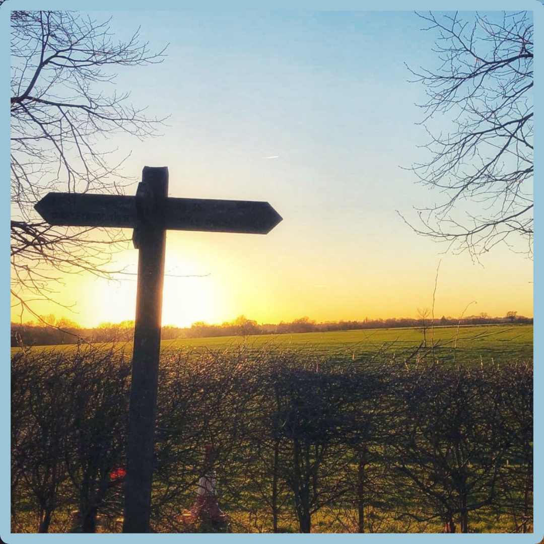 Adorer (French) – Structured Vocabulary Support