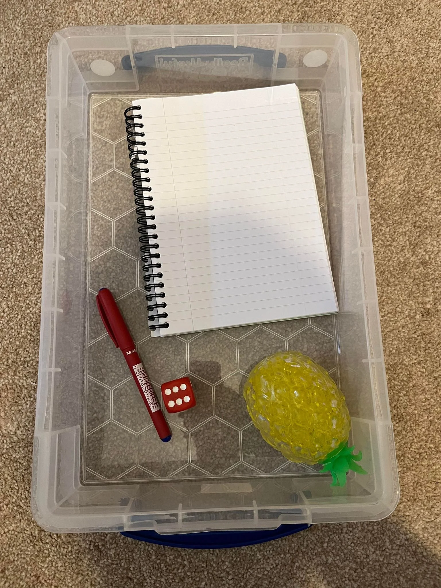 A clear plastic storage bin with a notebook, red dice, red marker, and yellow plastic pineapple toy inside, on beige carpet.