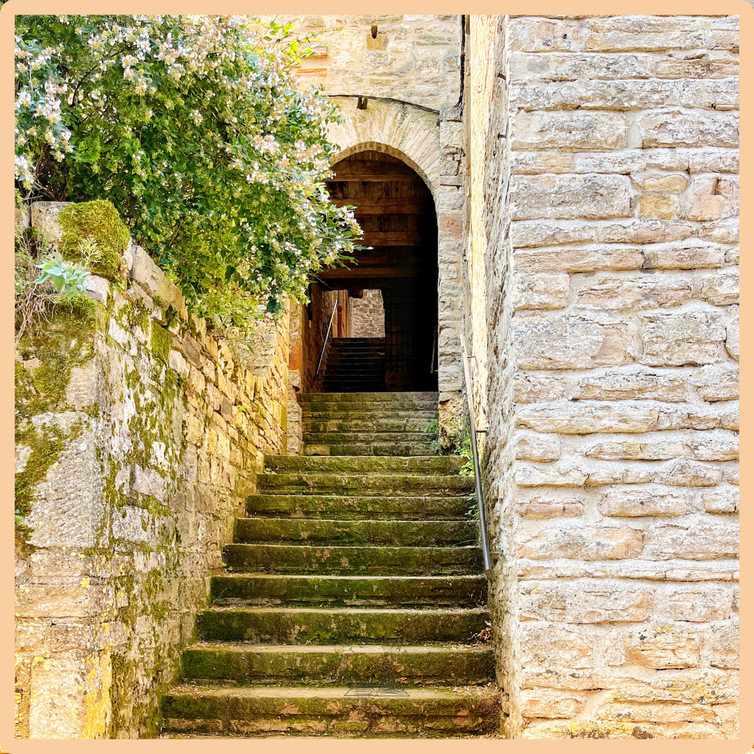 pas (French) – Structured Vocabulary Support