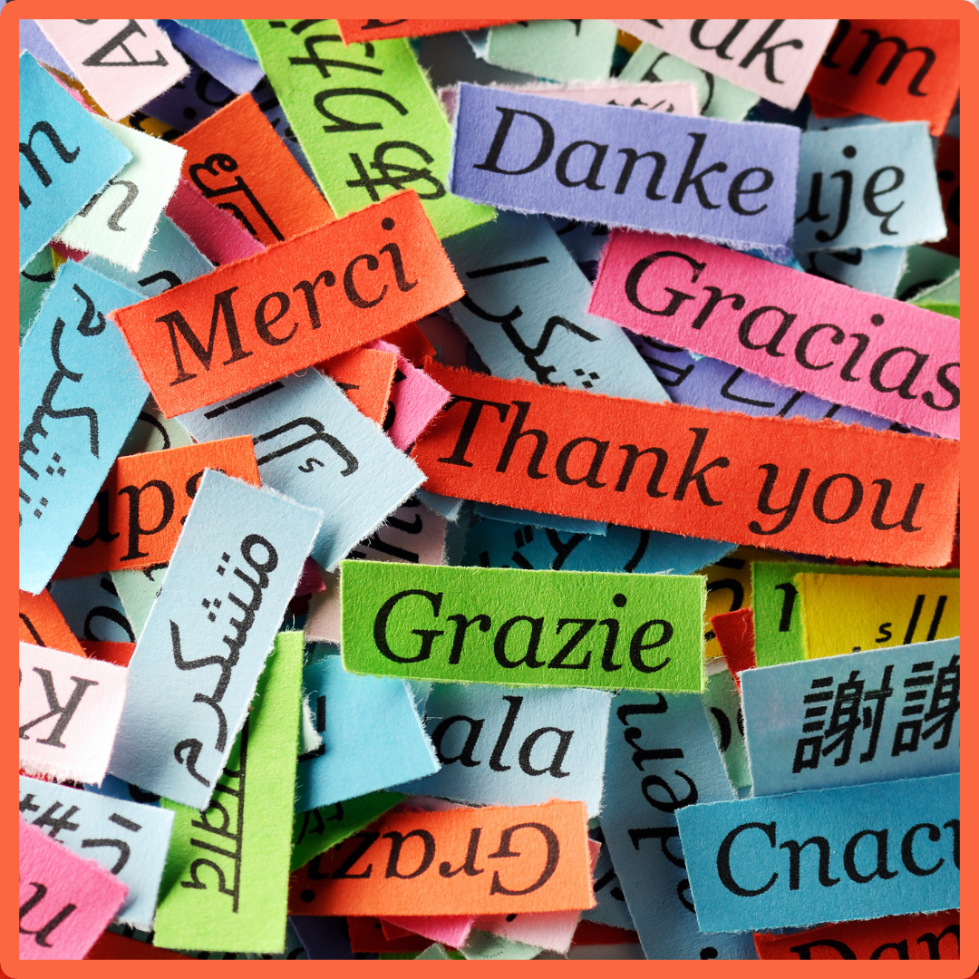 merci (French) – Structured Vocabulary Support