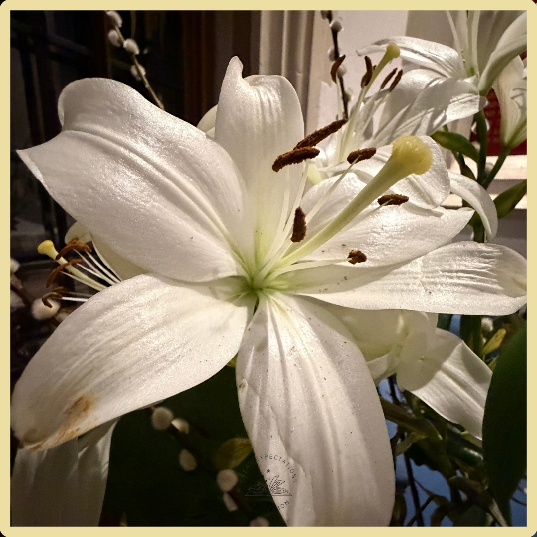 Traurig (German) – sadness, grief explained clearly