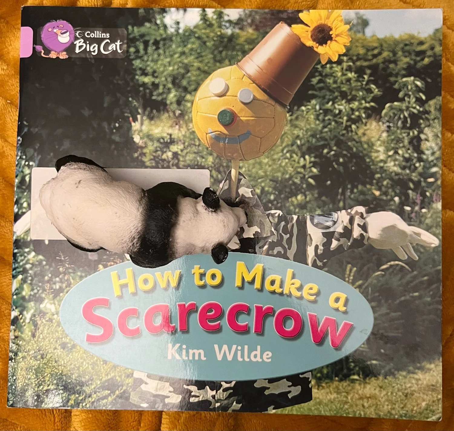 Graded Reading - Level 0 - How to make a scarecrow