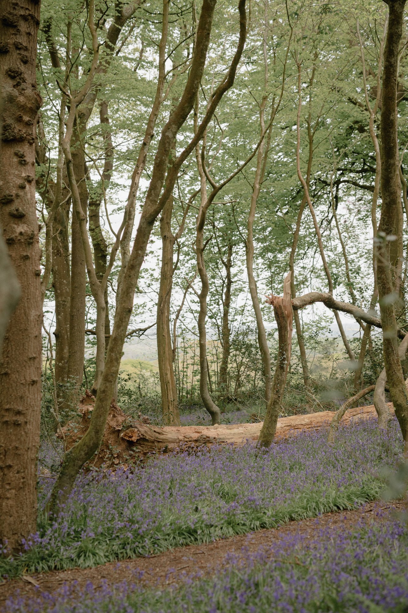 Lyra&Moth - Lauren & Oliver at the Cornish Place-153.jpg