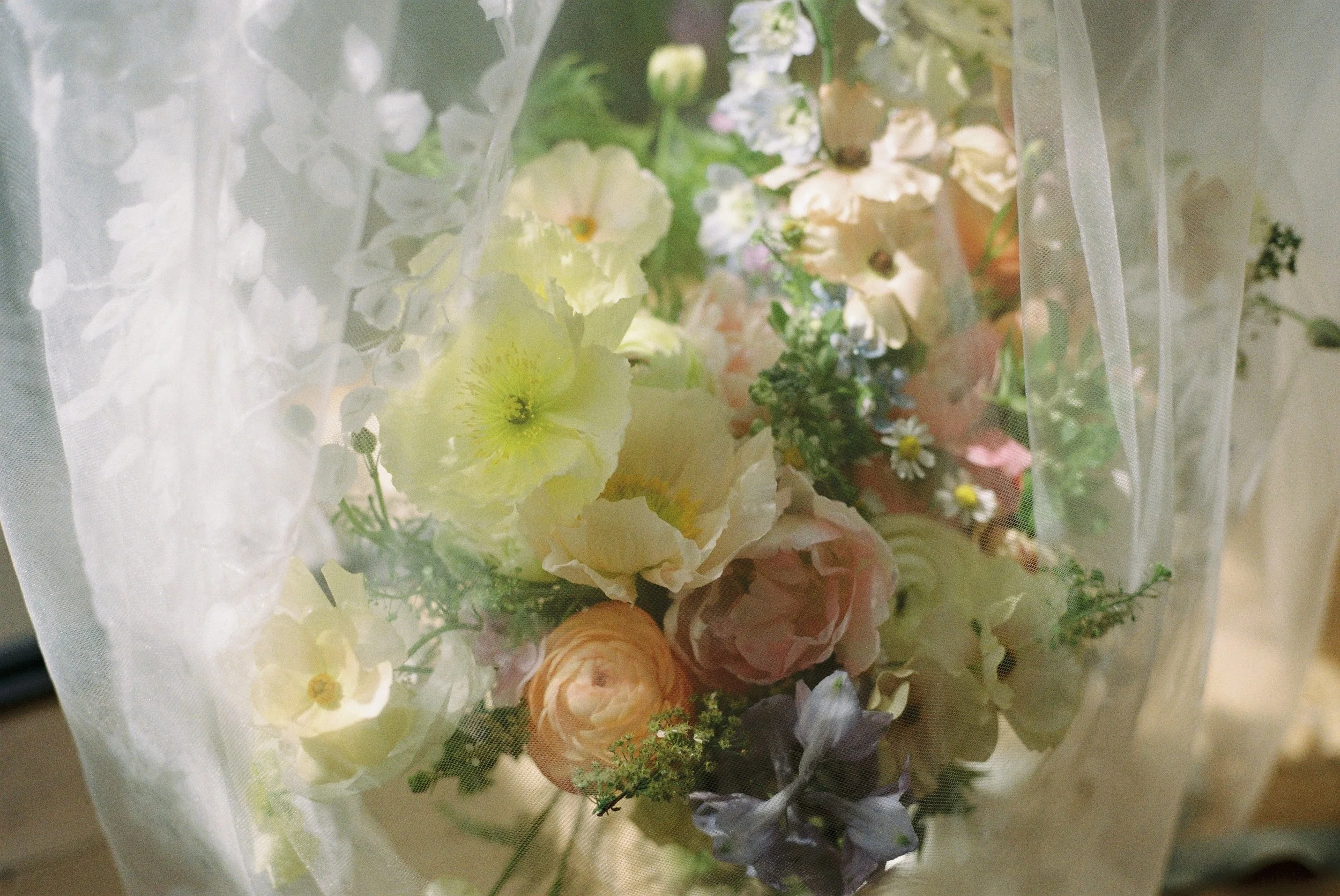 Lyra & Moth - Jess & Josh - Film-6.jpg