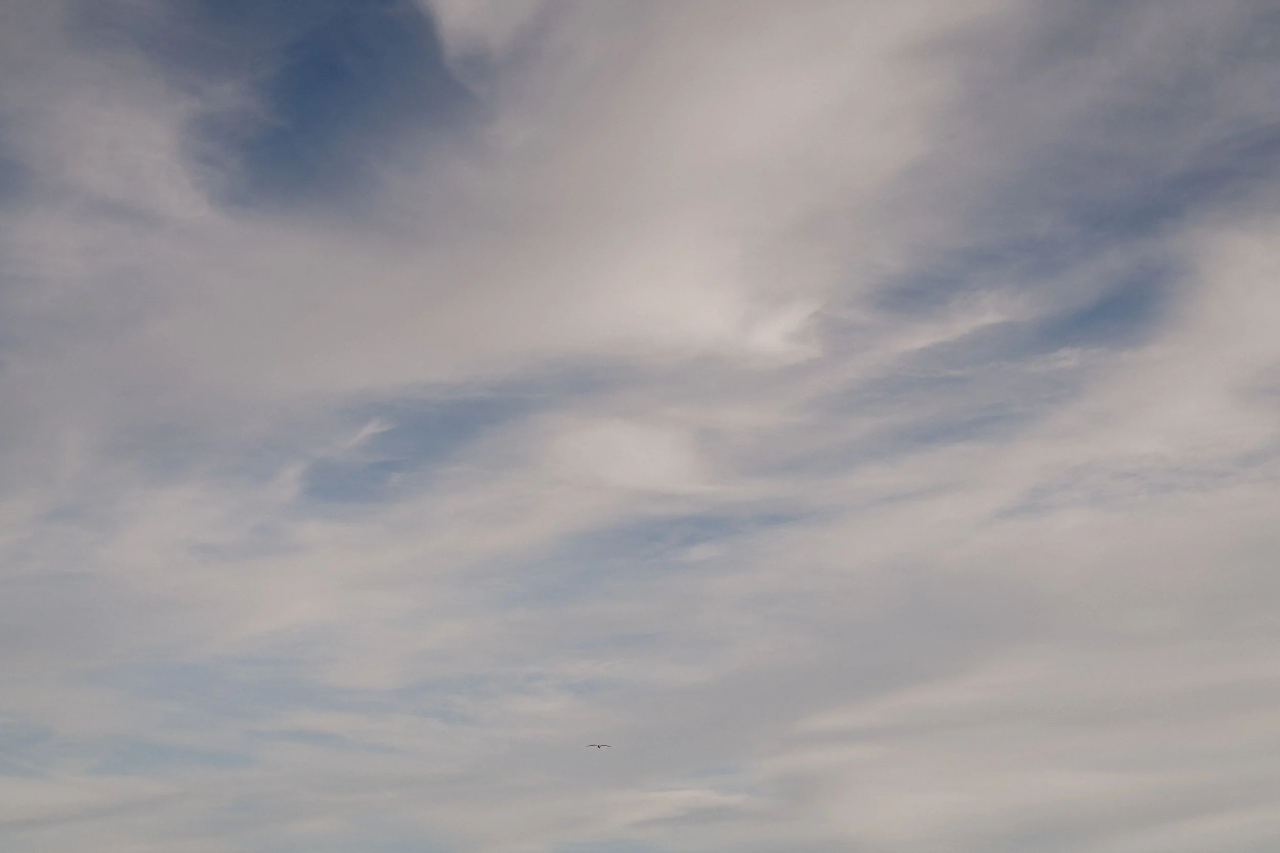Lyra & Moth - TrefusisEstateWeddingCornwall-200.jpg