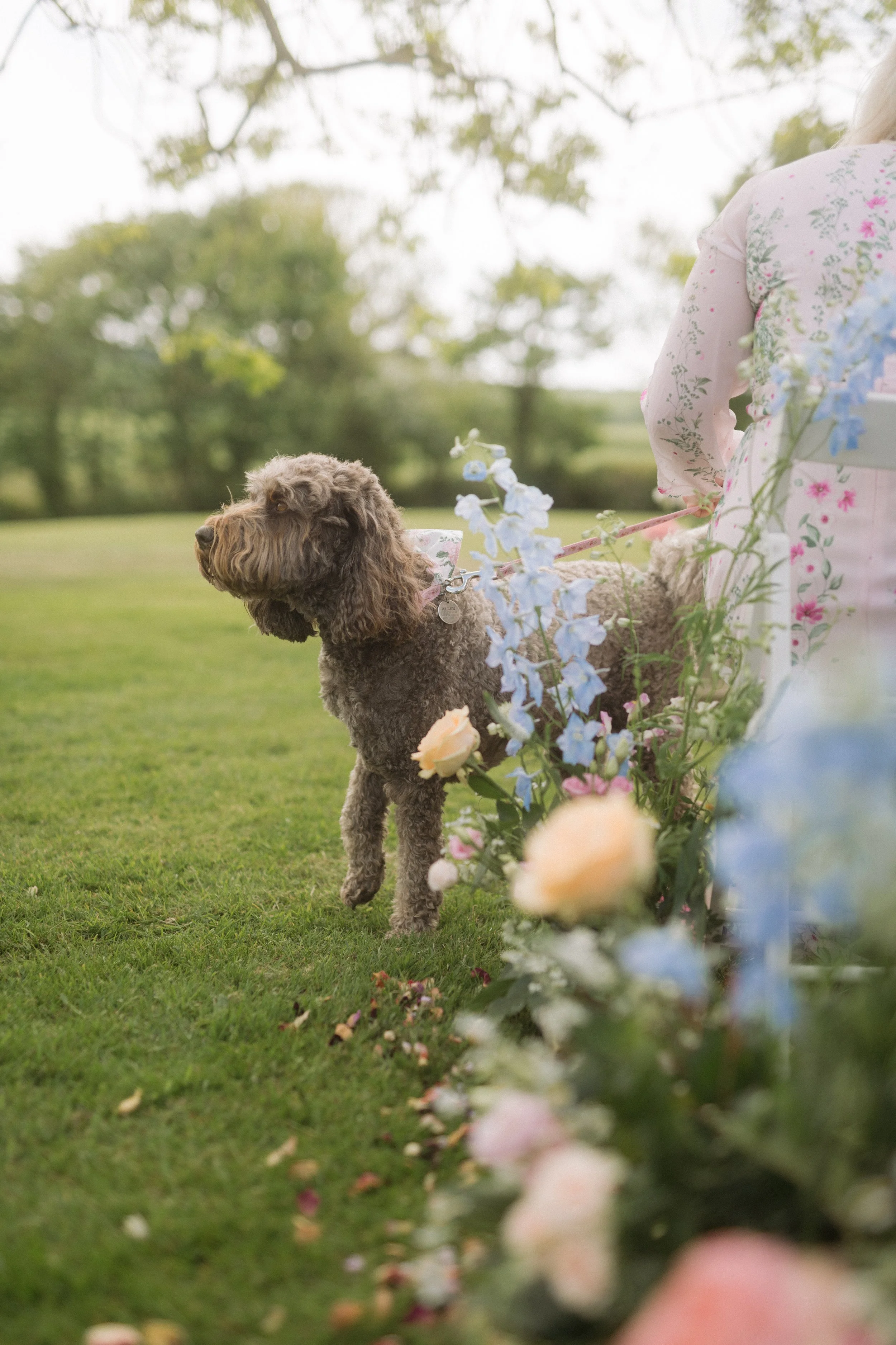 Lyra&Moth-Beth&Harvey'swedding-354.jpg