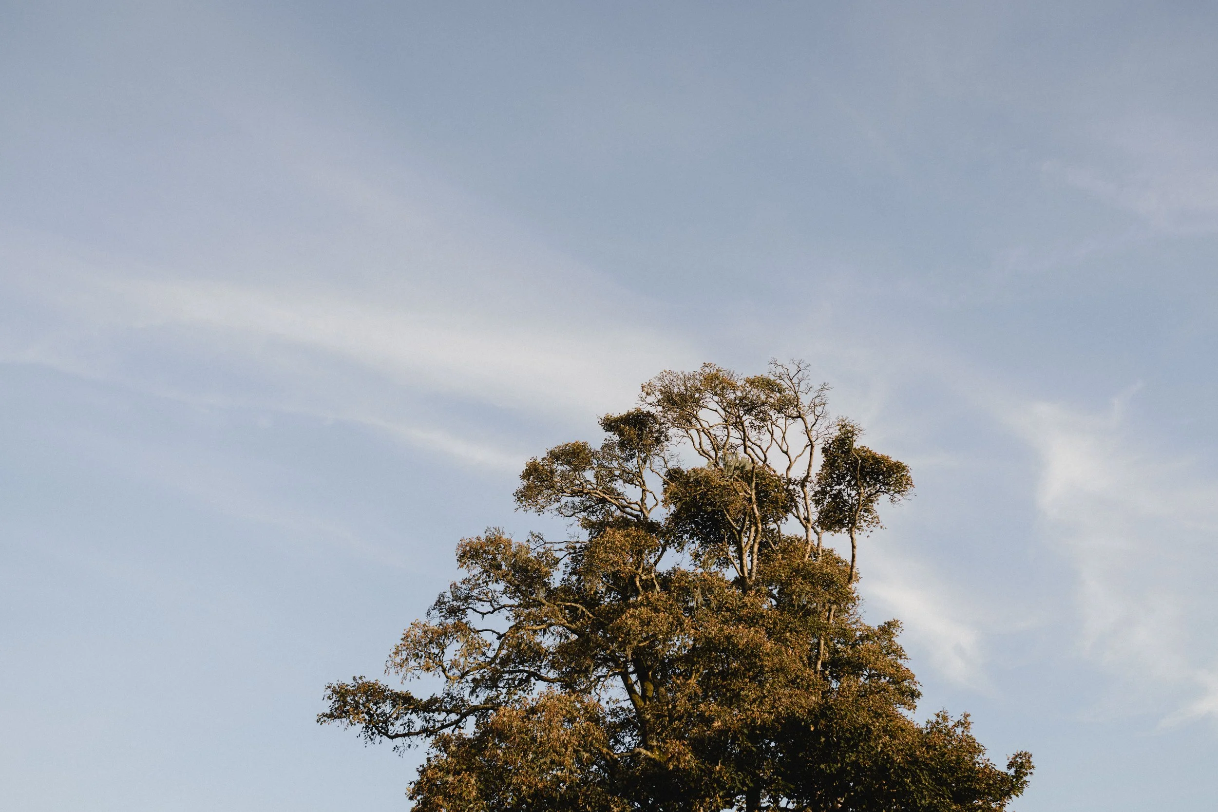 Lyra&MothPhotography-Oli&Katie-1313.jpg