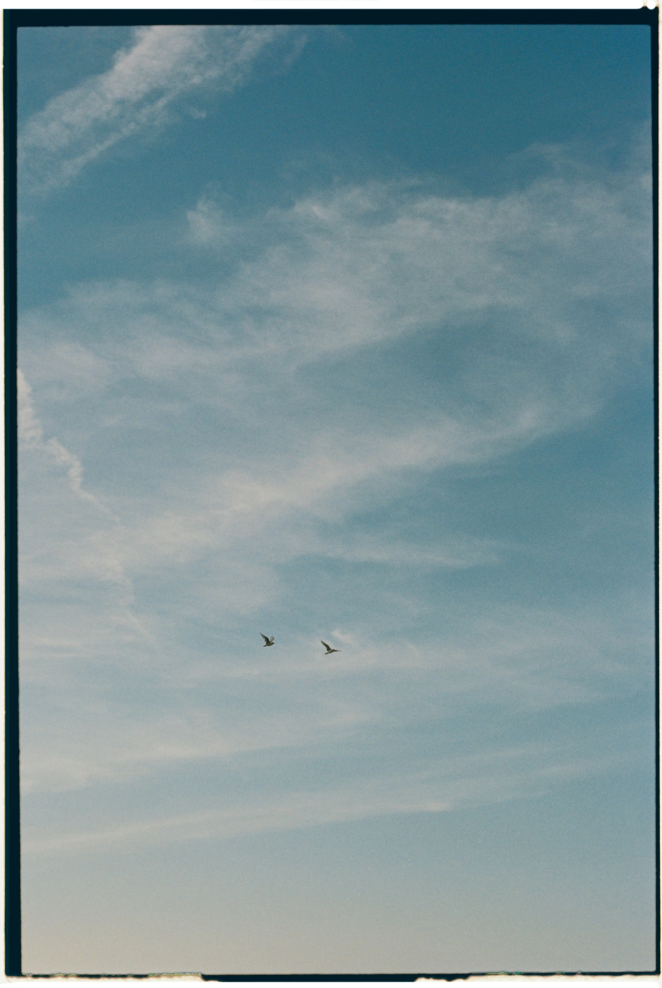 details and seagulls flying in the sky