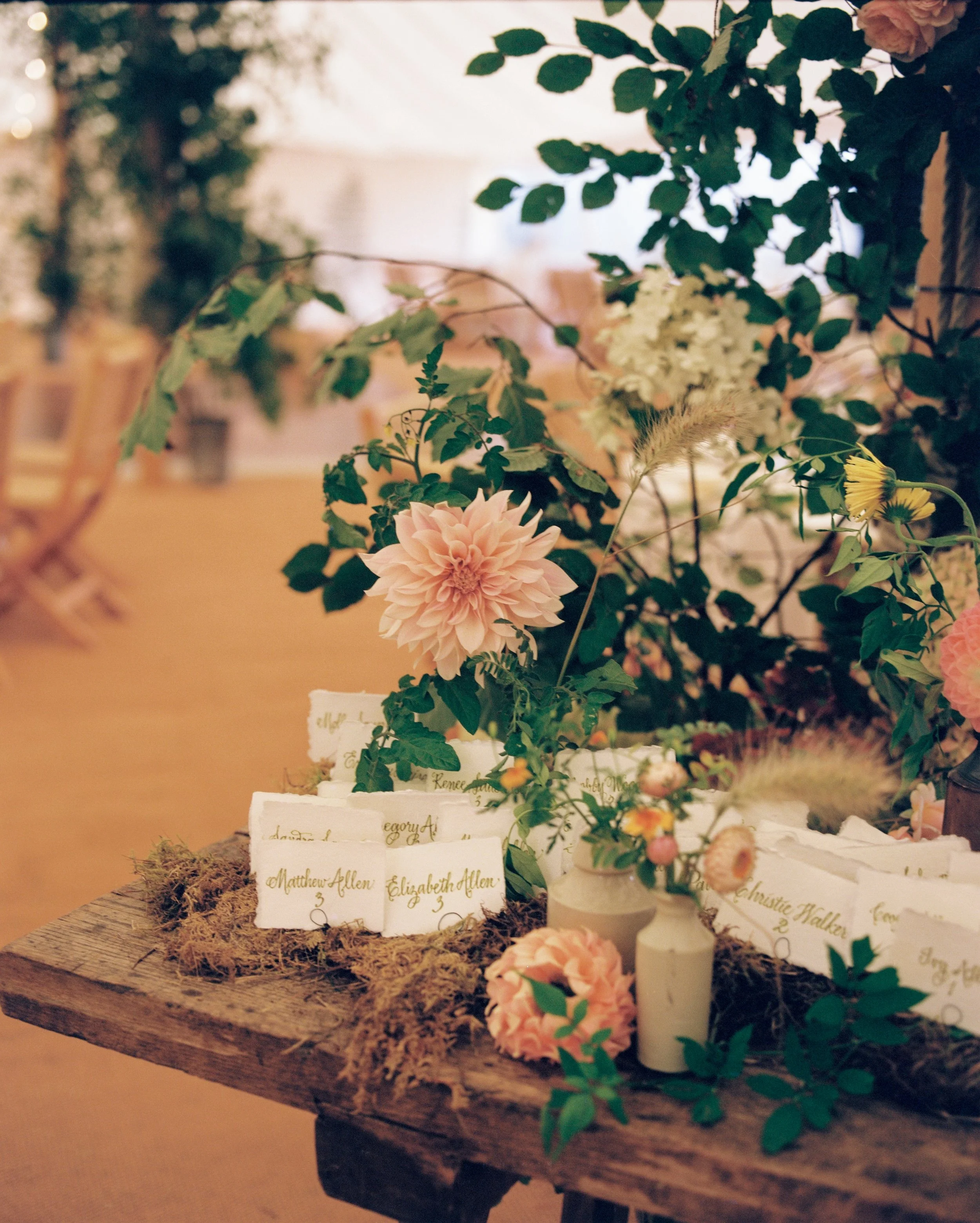 Lyra&MothPhotography-Glen&Jake-20.jpg