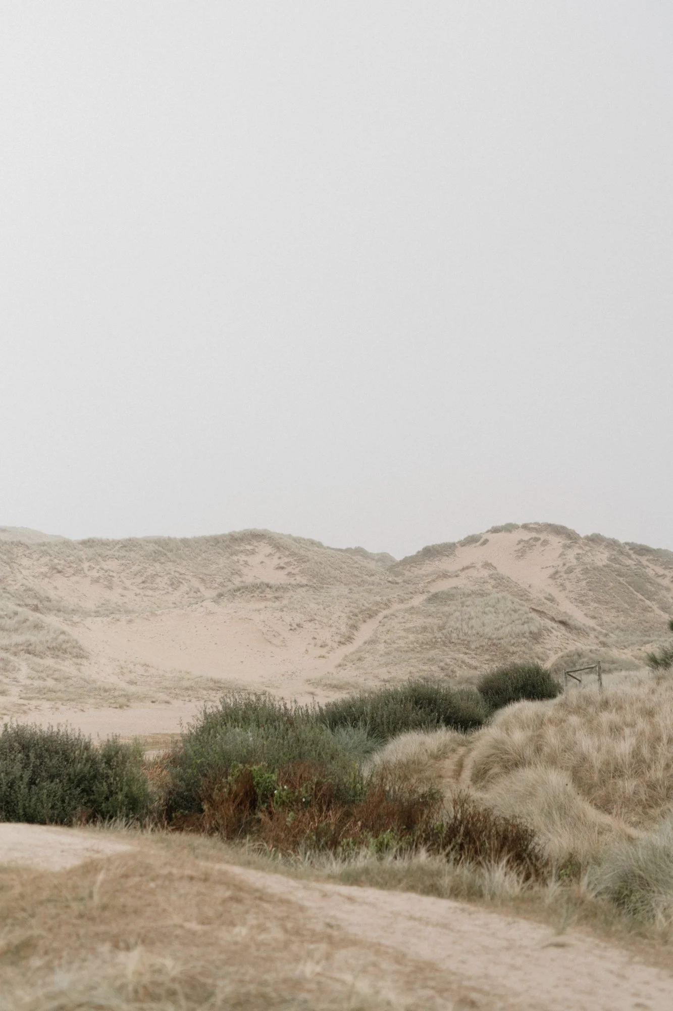 Lyra & Moth Photography - Sam & Michelle Elopement Cornwall-120.jpg