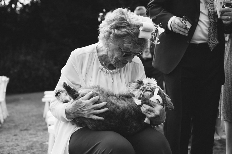 dogs make the cutest wedding guests 