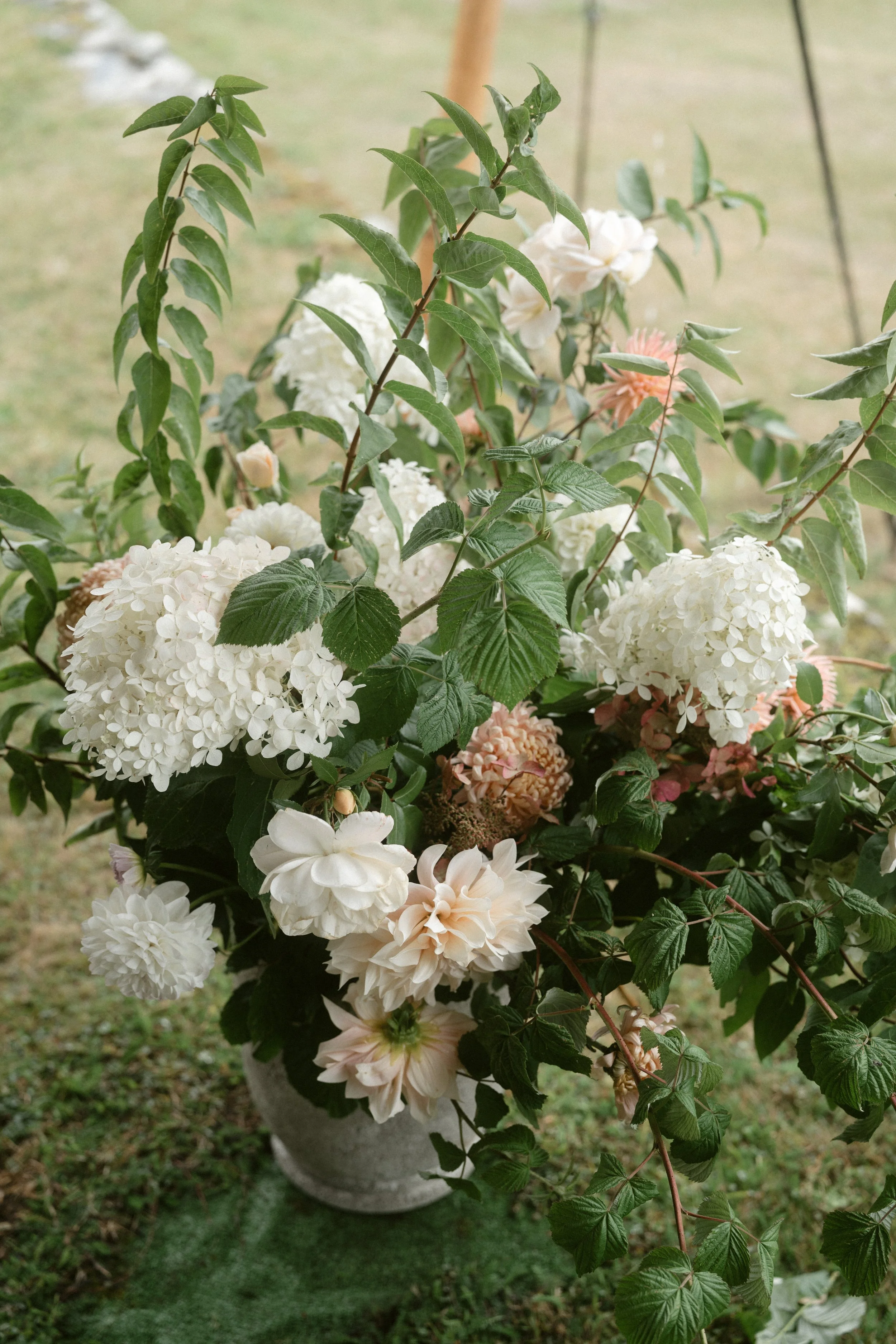 the garden gate flower company and 3 acre blooms