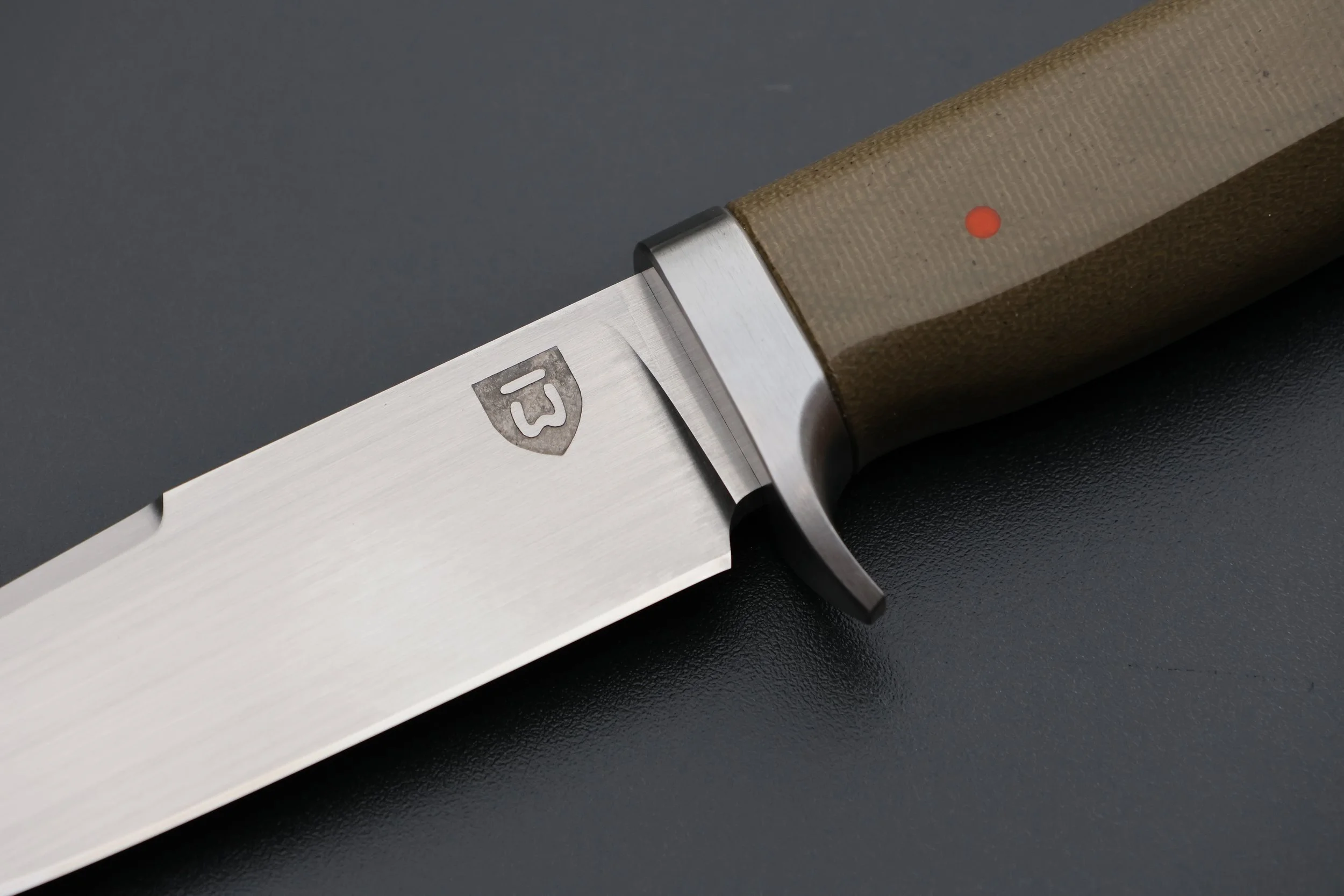 IMGL9155.JPG