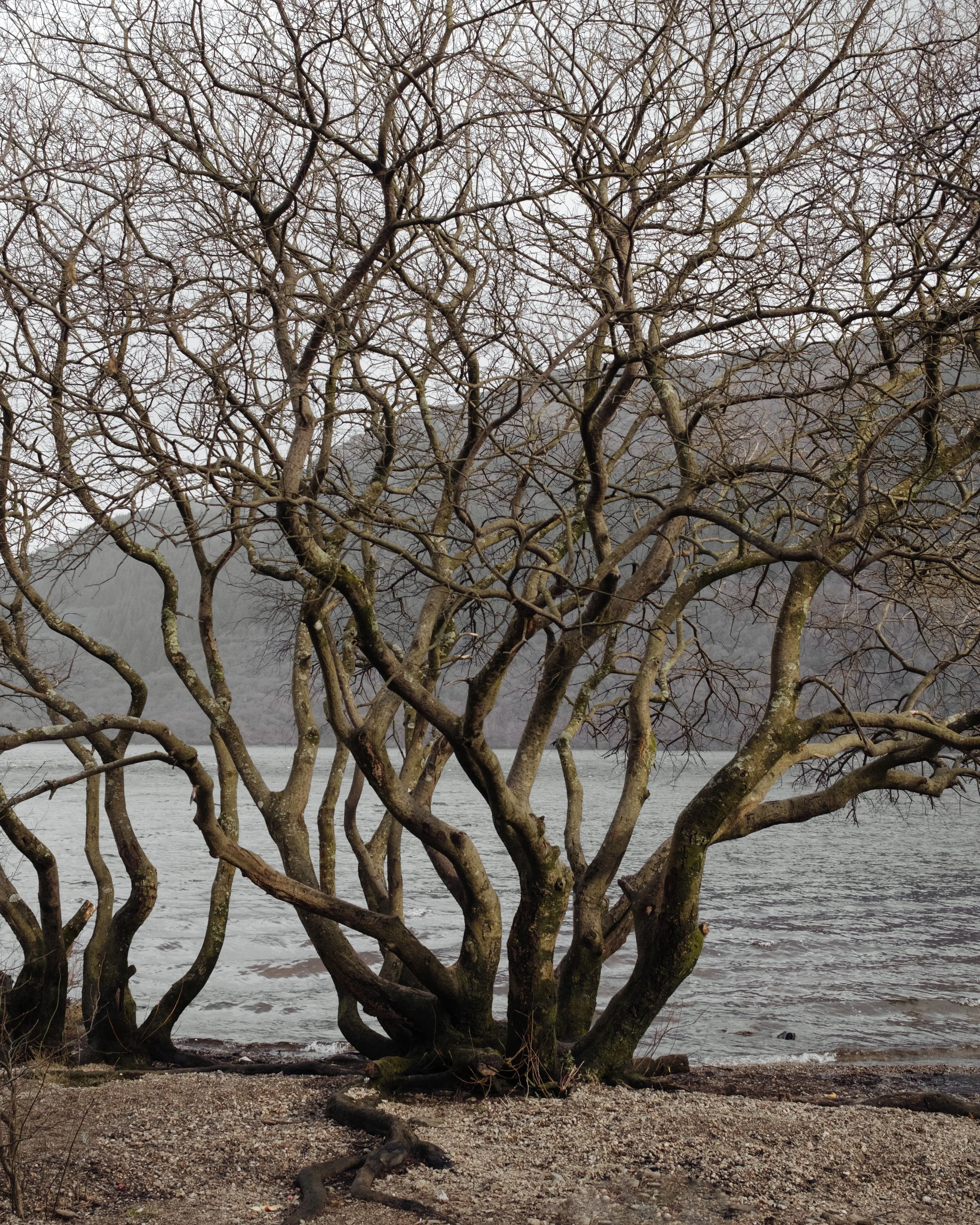 Scotland_RAW_493.jpg