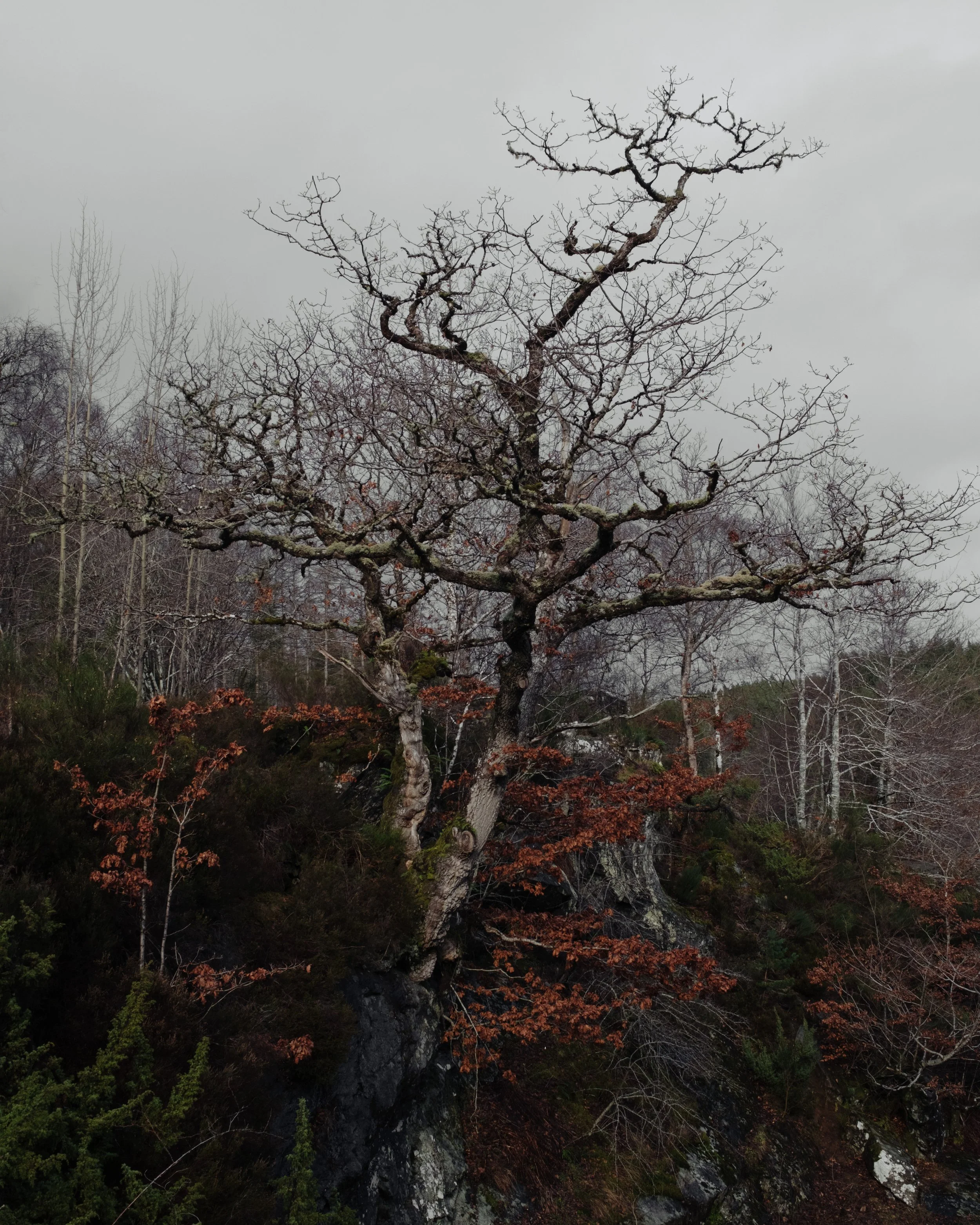 Scotland_RAW_70.jpg