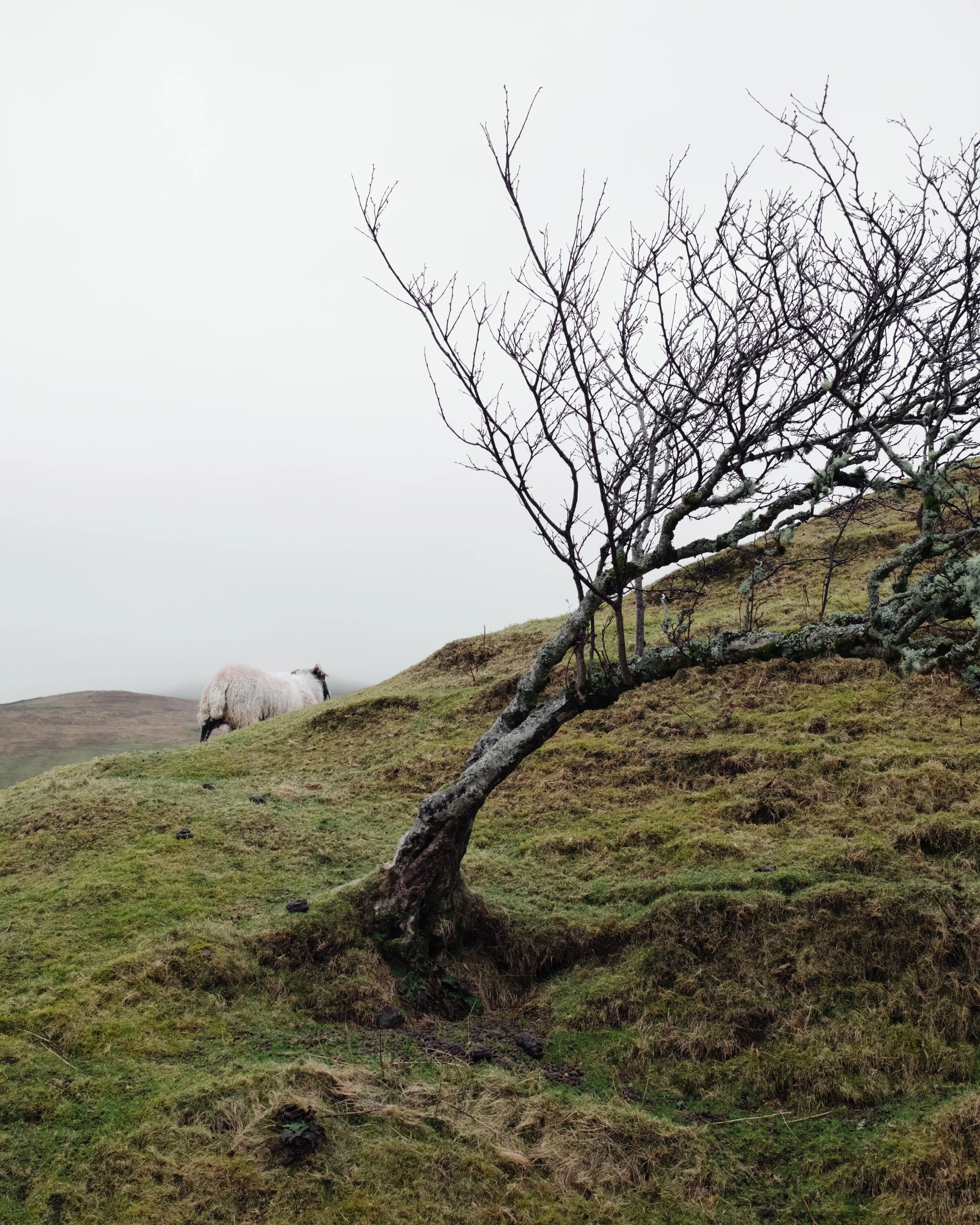 Isle of Skye, Scotland