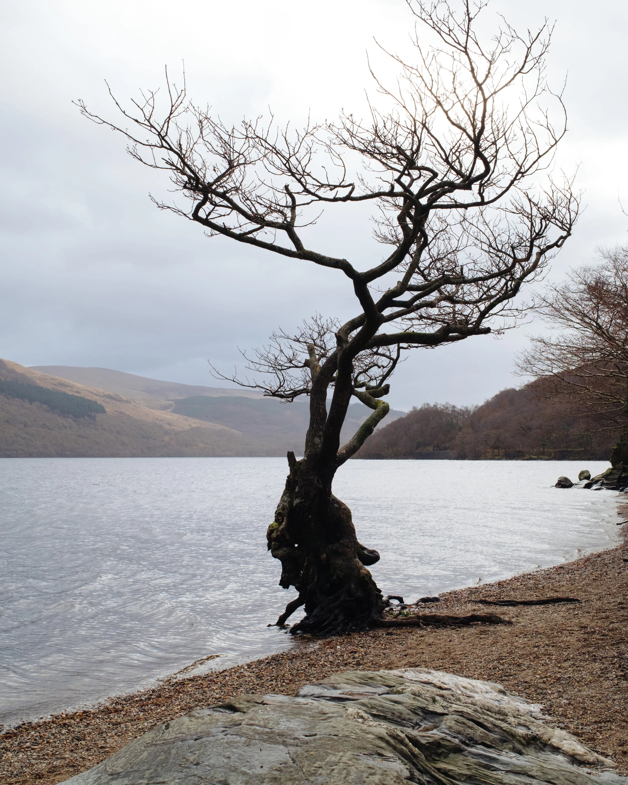 Scotland_RAW_509.jpg