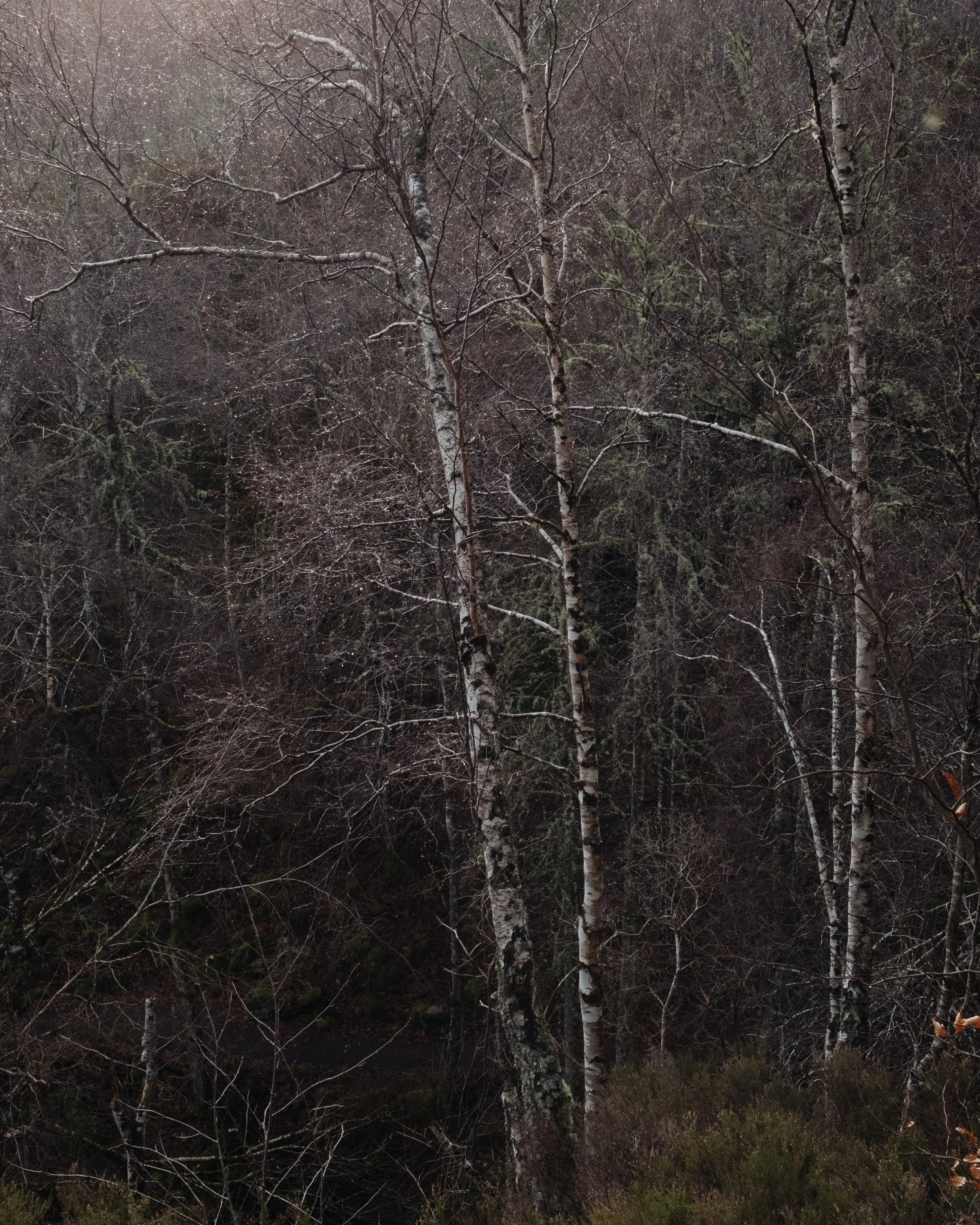Scotland_RAW_62.jpg