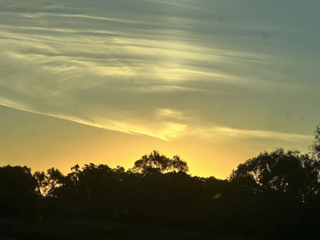 IMG_6584.JPG
