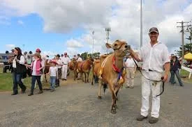 Wauchope Show2.jpg