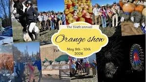 Orange1.jpg