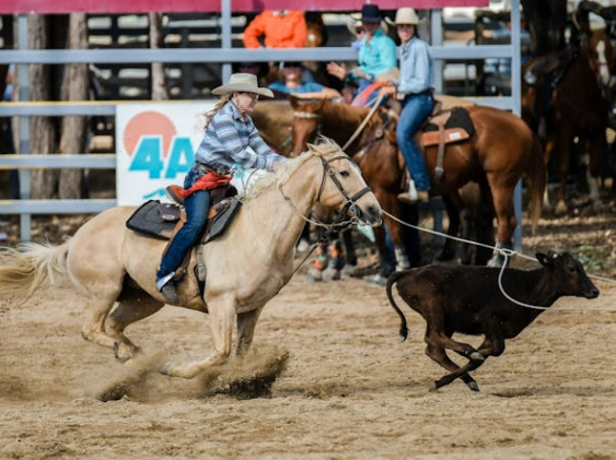 Mareeba Rodeo4.png