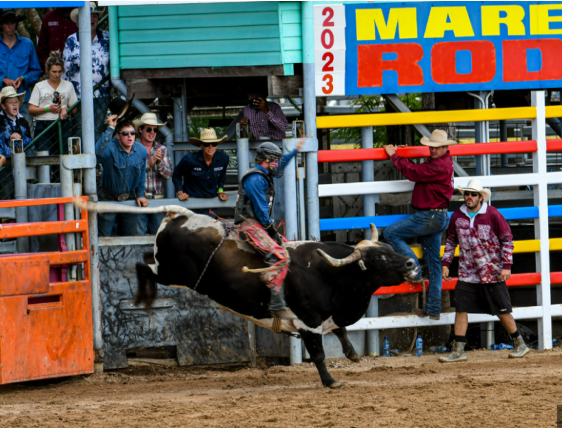 Mareeba Rodeo2.png
