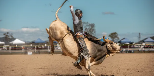 Mareeba Rodeo.png