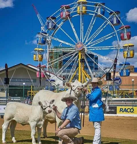 EKKA1.jpg