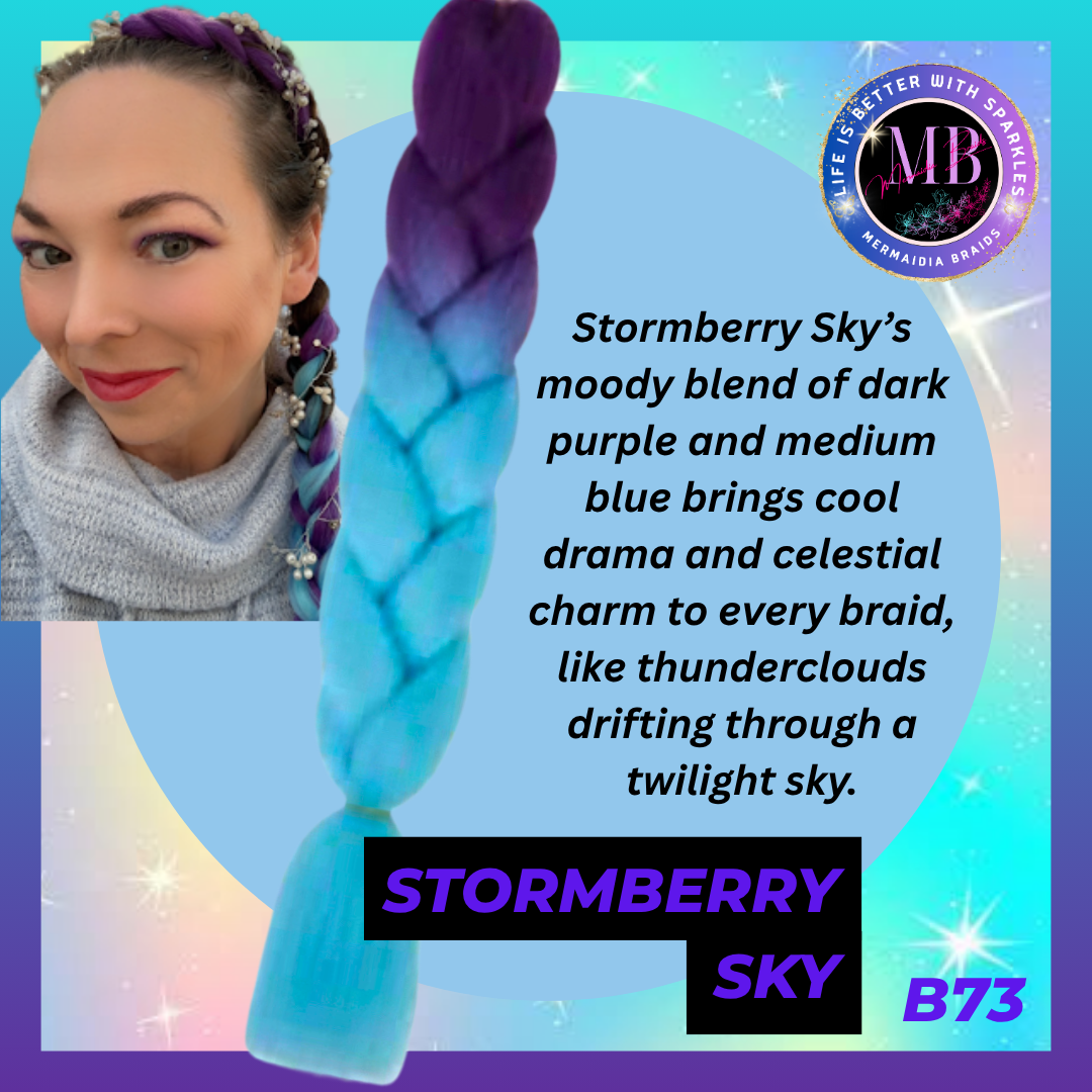 B73 - Stormberry Sky Extension Hair Braid