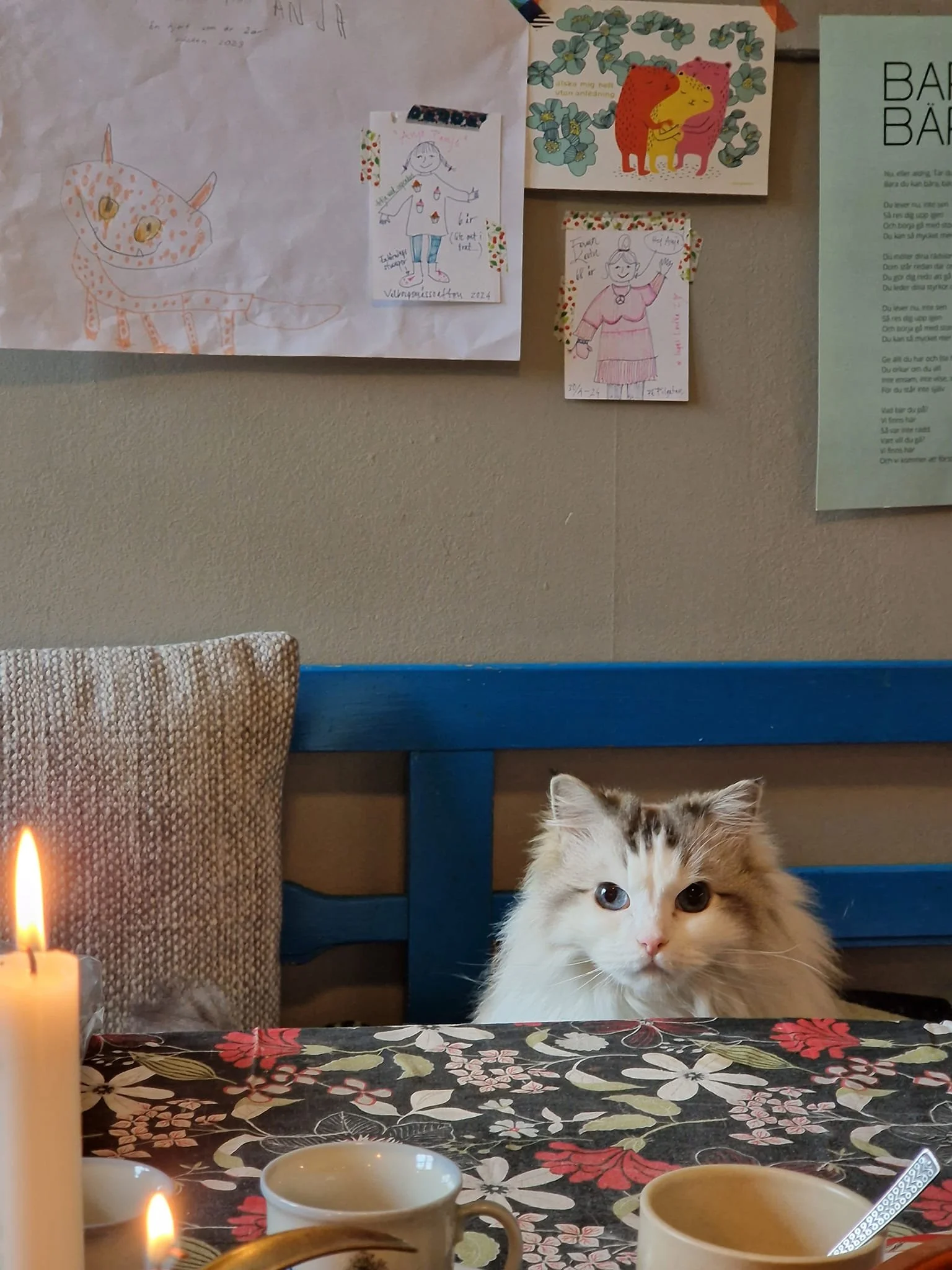 Säg hej till Sibelius!