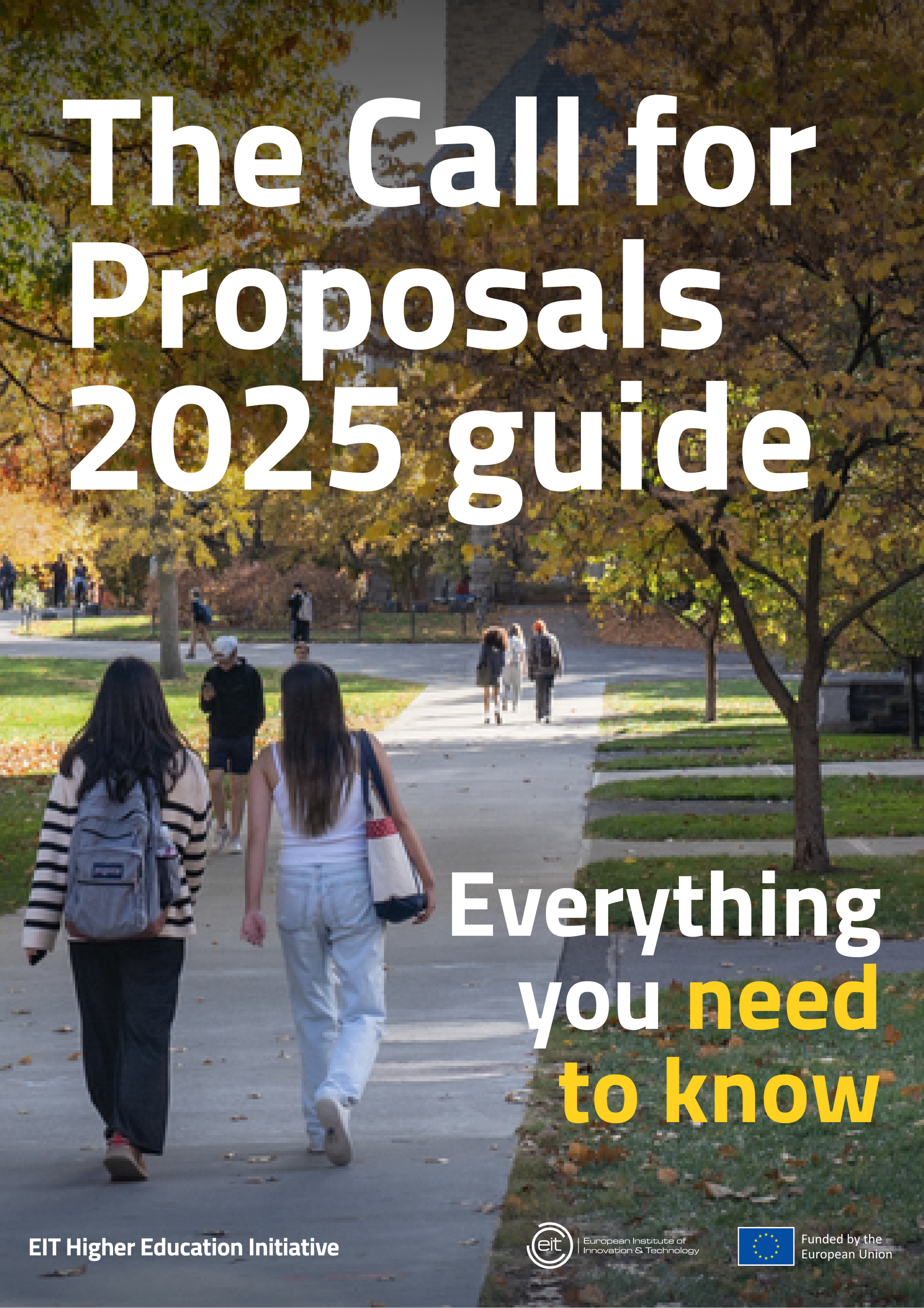 What is the Call for Proposals_1.png