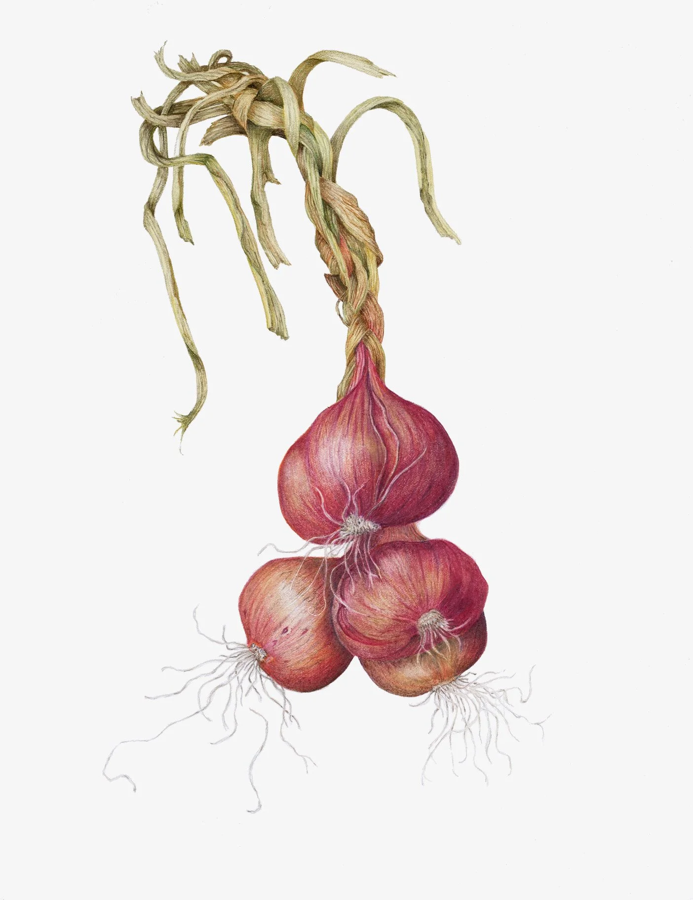 BraidedShallots_MG_4049 2 Flatj.jpg