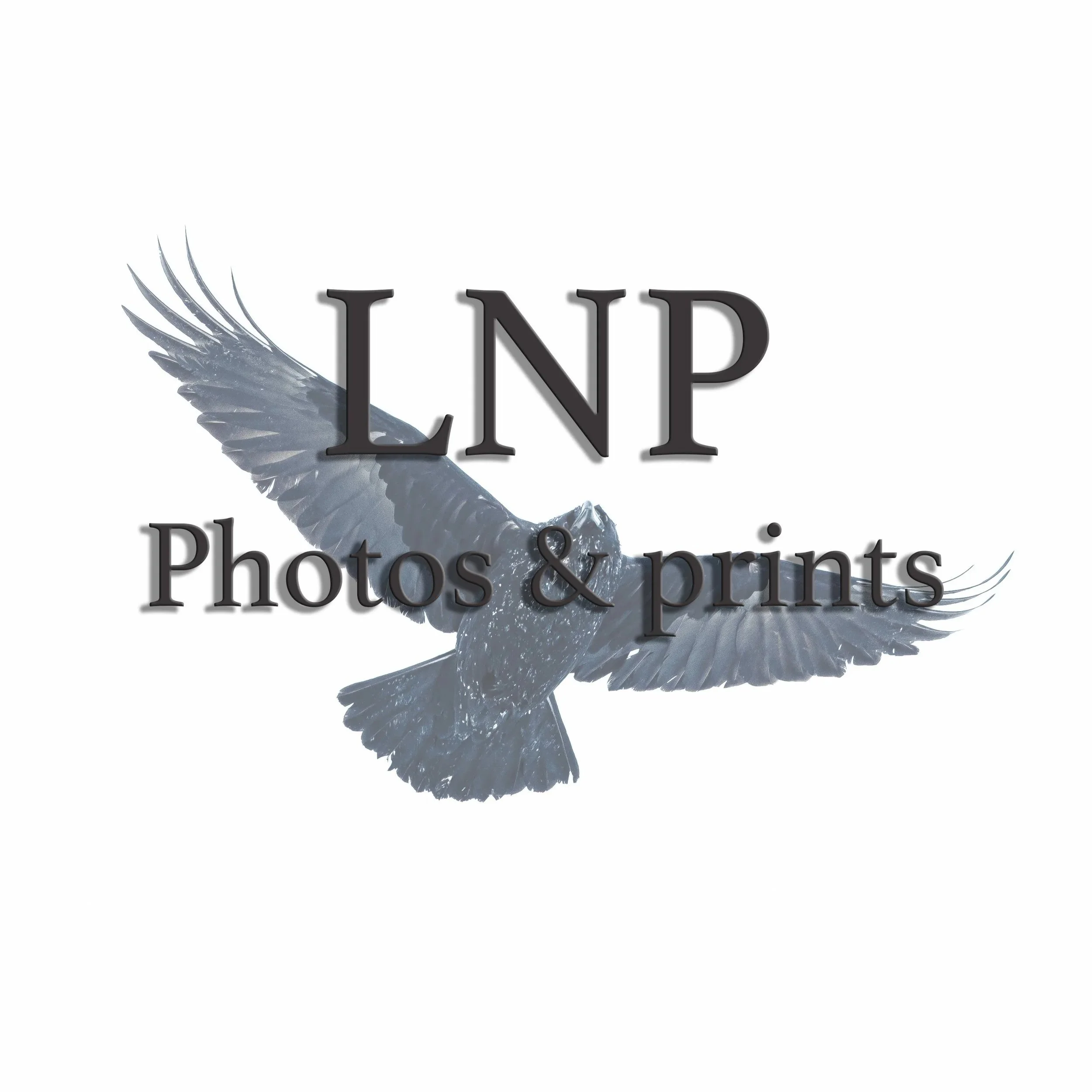 LNP Photos and prints