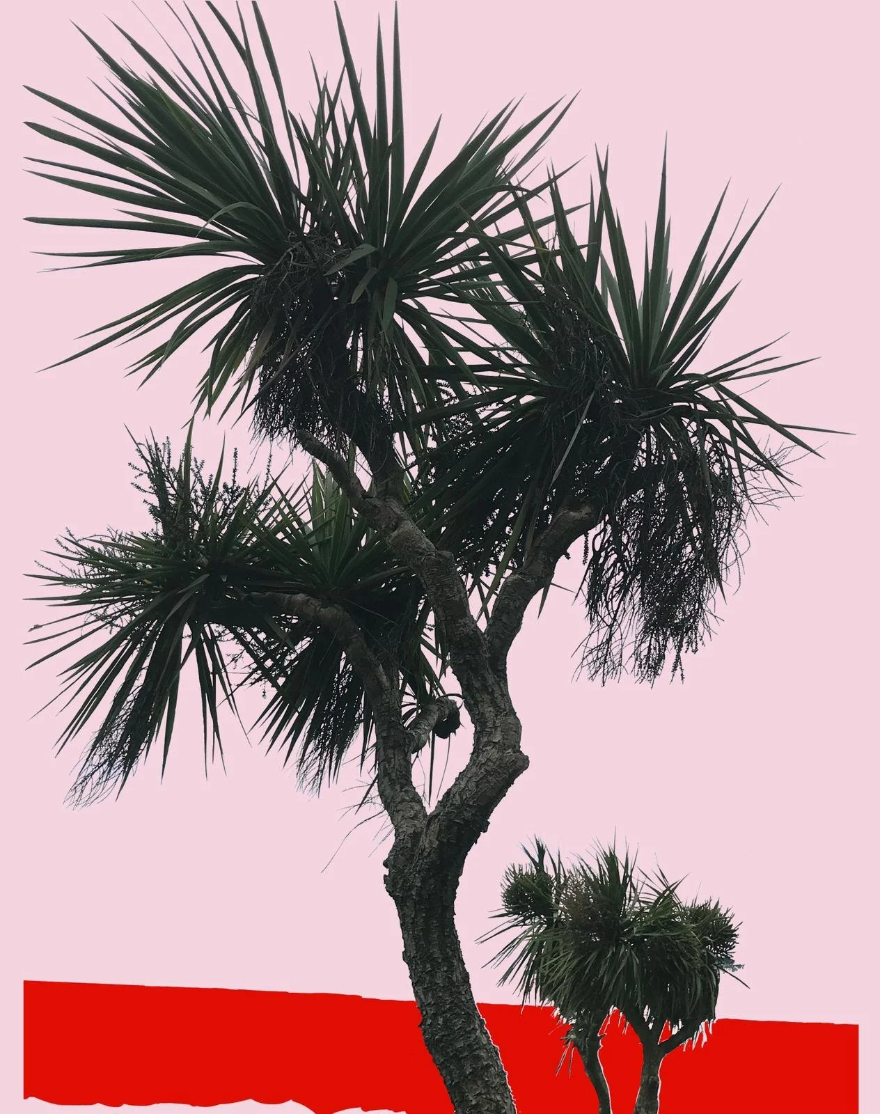 Palms, print - AVAILABLE TO BUY