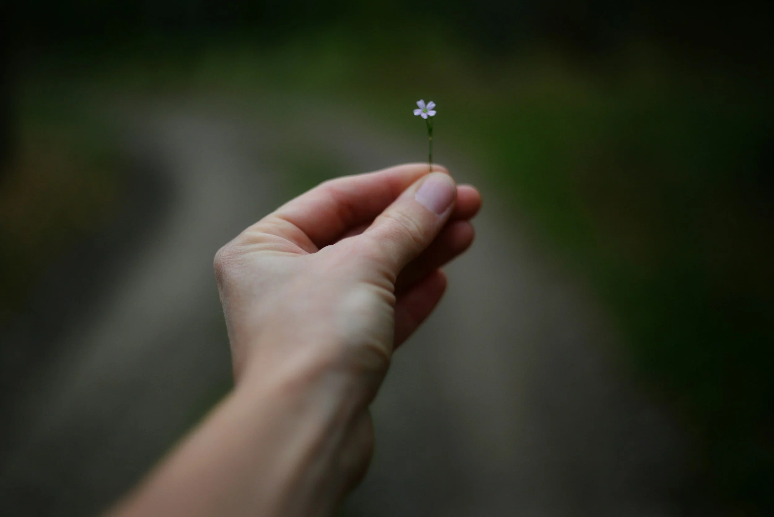 A few phrases that quietly make you sound less confident at work