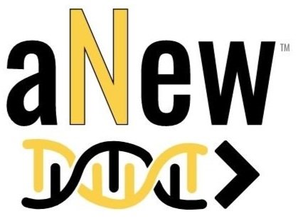 Anew, LLC |  A Personalized Approach To Diet And Fitness