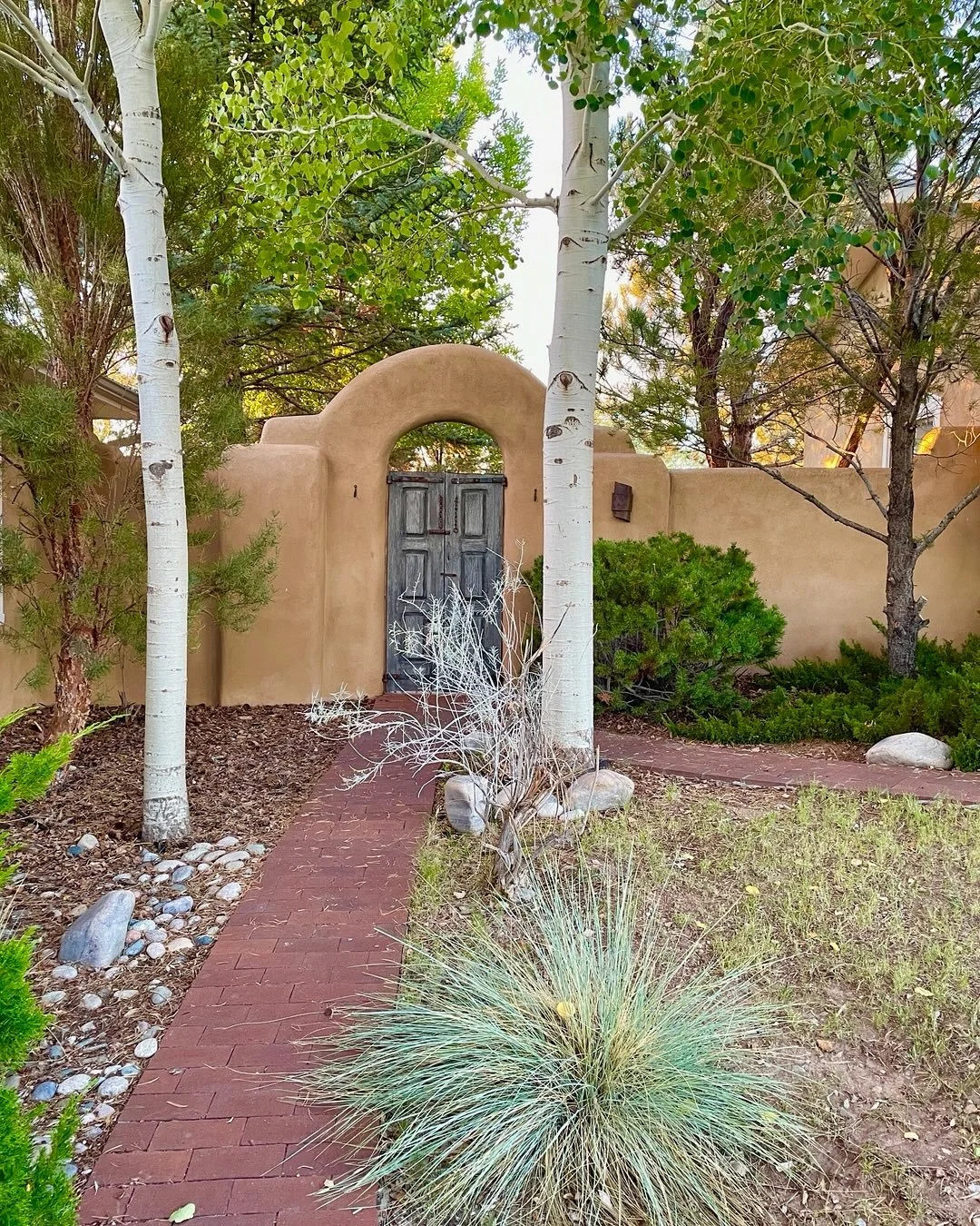 Autumn is here#taosnm