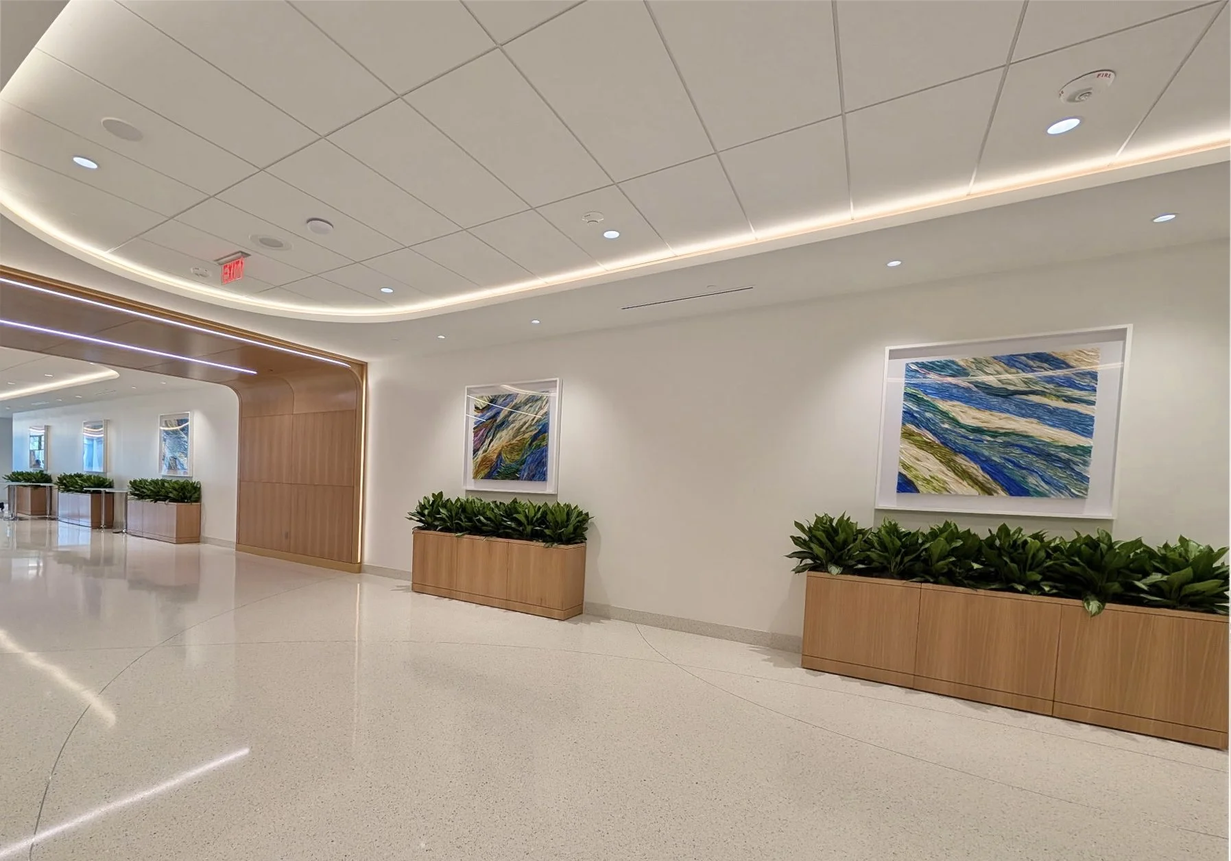 Medical Lobby, Jacksonville, Florida/acrylic on handmade paper/six panels each 44” x 44”
