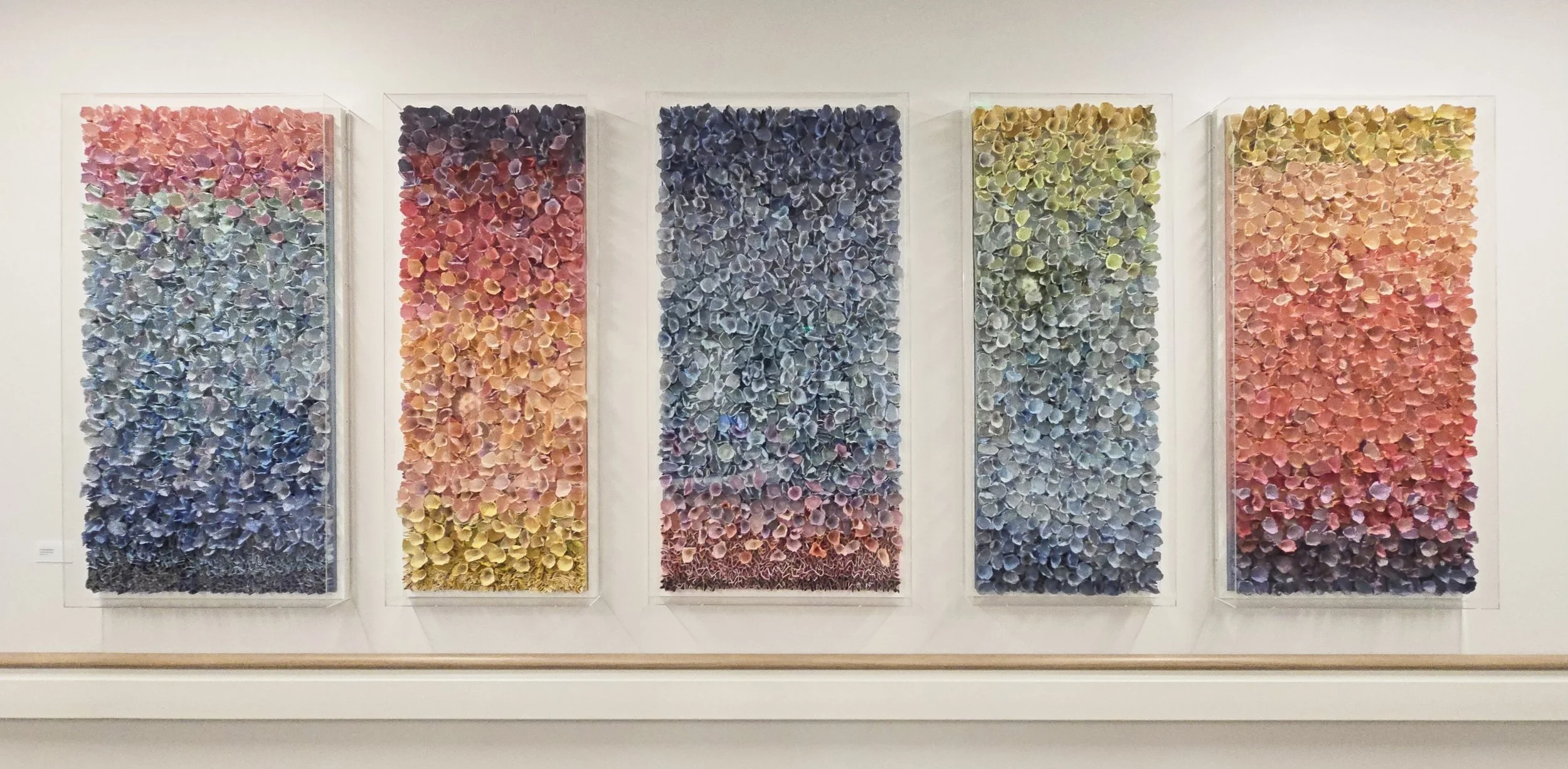 Women's Floor, Houston Methodist Hospital Cypress, TX / acrylic on handmade paper / five panels - total size 108" x 48"